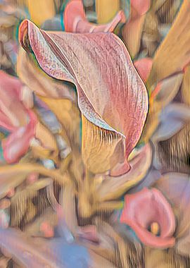 pink colored calla lily