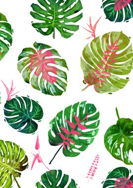 Monstera Love II