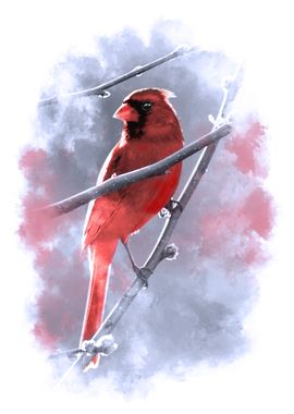 Cardinal