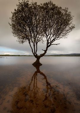 Kenfig Nature reserve