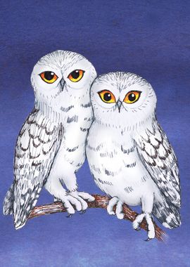 Two lovely snowy owls