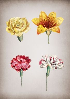 Vintage Mixed Flowers