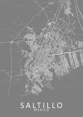 Saltillo Mexico City Map