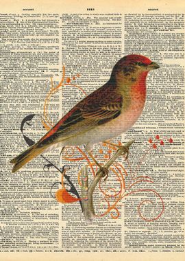 Bird on Branch on Dictiona