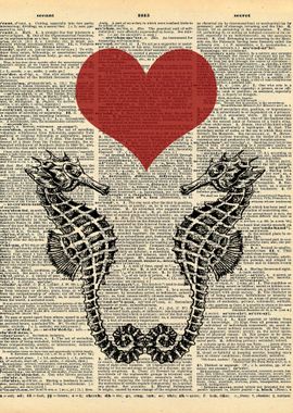 Seahorses in Love on Dicti