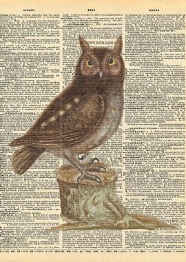 Owl on Dictionary Page