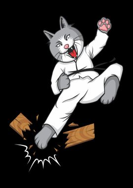 karate cat hero