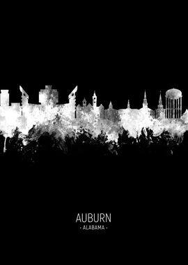 Auburn Alabama Skyline