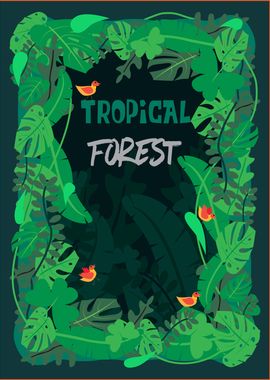 tropical forest