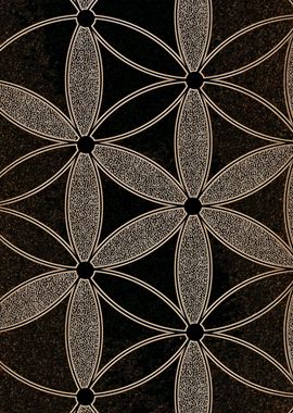 Flower of Life Closeup