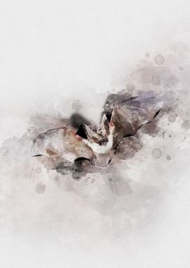 The Bat Watercolor Art