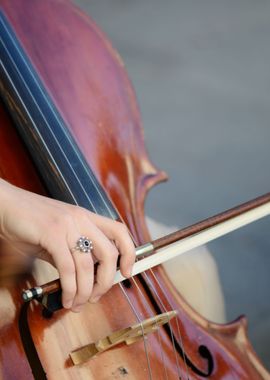 Brown violin