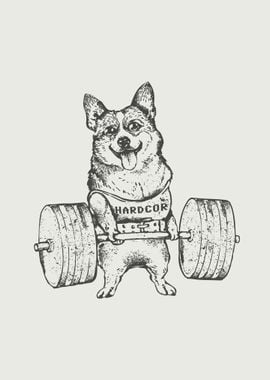 Corgi Lift