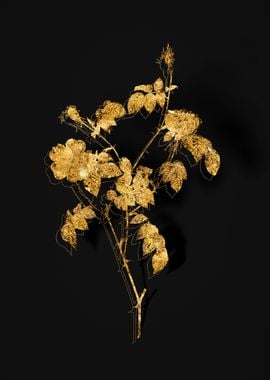 Gold Botanical on Black