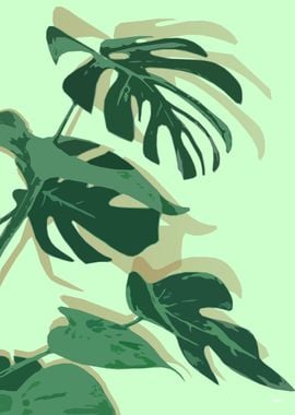 Philodendron II