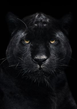 Black panther poster