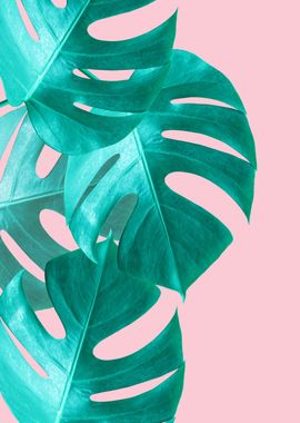 Tropical leaves V