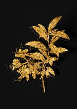 Gold Botanical on Black