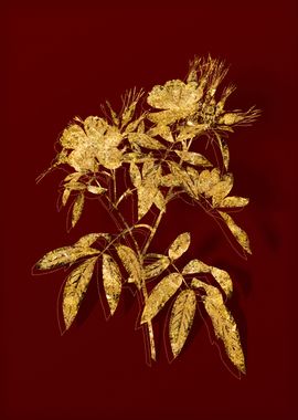 Gold Botanical on Red