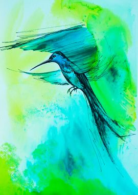 Turquoise Hummingbird