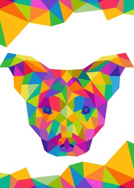 Dog Geometric Color