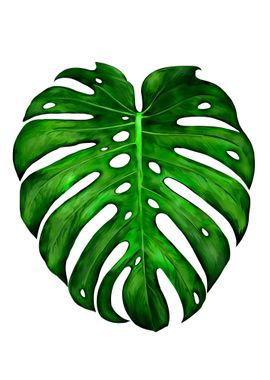 Monstera Painting