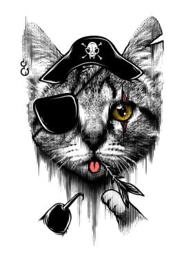 Piratecat