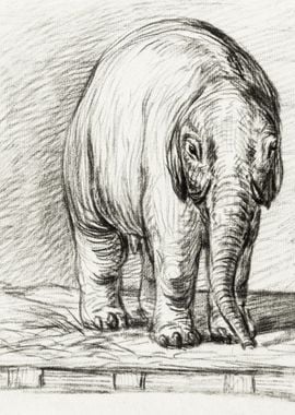 Standing Elephant 1800 By 