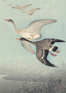 Great Geese In Flight 1925