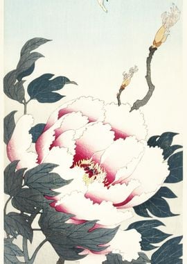 Peony With Butterfly 1925 