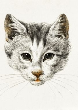 Sketch Of A Cat 1812 By Je