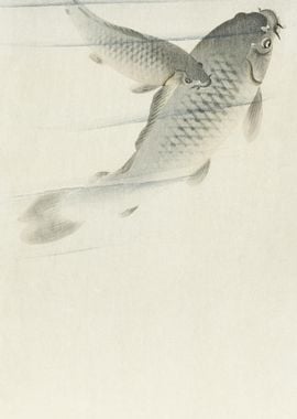 Carp 1900  1936 By Ohara K