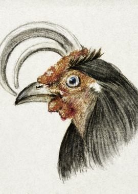 Head Of A Rooster 1816 By