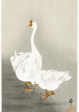 Two Geese 1900  1930 By Oh