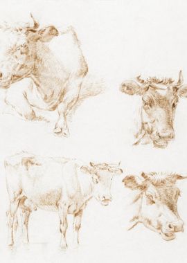 Four Cows 1792 1810 By Je