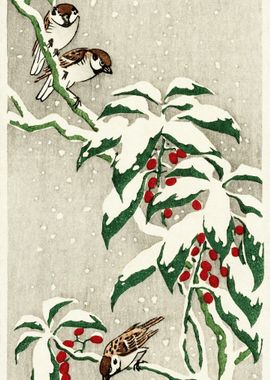 Sparrows On Snowy Berry Bu