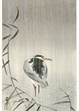 Kwak In Rain 1900 1936 By