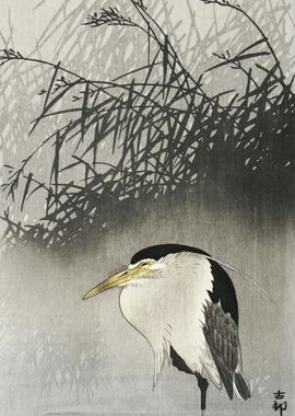 Heron At New Moon 1900  19