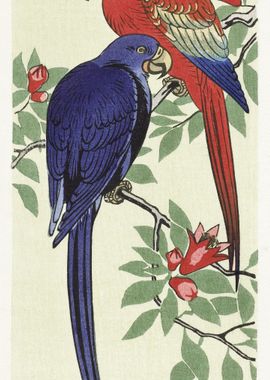 Red And A Blue Parrot 1925