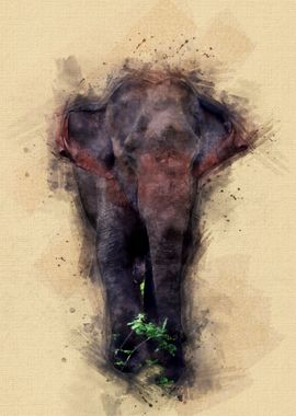 Wild Elephant