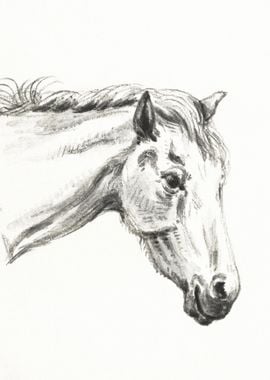 Head Of A Horse 1819 By Je