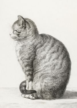 Sitting Cat 1815 By Jean B