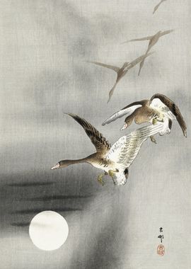 Geese In Flight 1900  1930