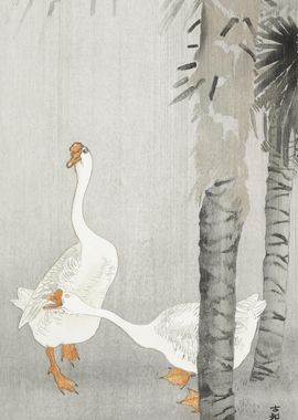 Tame Geese In Rain 1900  1