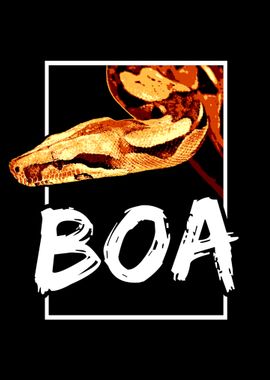 Boa Constrictor Geometric