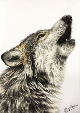 Howling Wolf