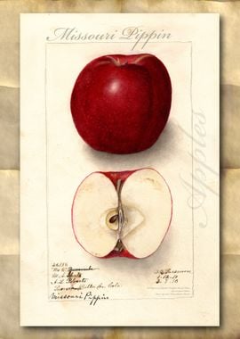 Vintage watercolor apple