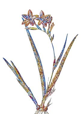 Stained Glass Gladiolus