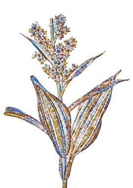 Stained Glass Botanical