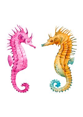 Seahorses